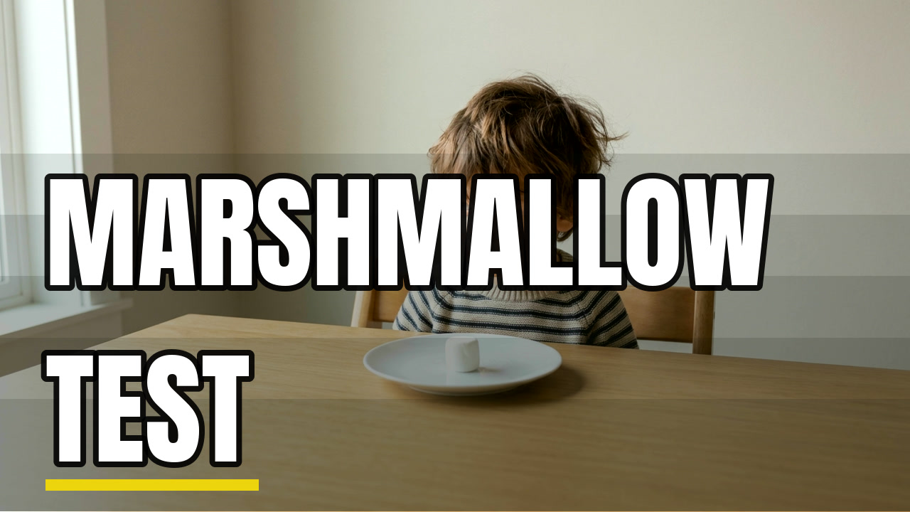 Demo thumbnail: Marshmallow test (Psychology explained, Bright explainer)